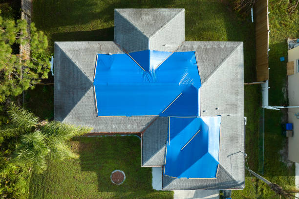 Best Roof Moss and Algae Removal  in Coconut Creek, FL