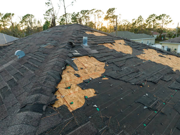 Best Emergency Roof Repair Services  in Coconut Creek, FL